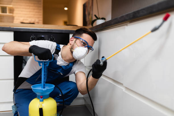 Trusted Lawton, IA Pest Control Experts