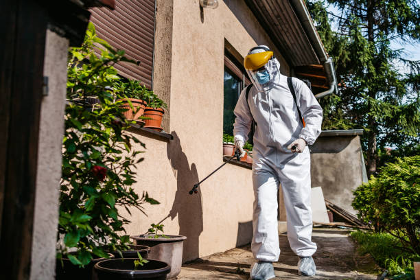 Best Best Pest Control Companies  in Lawton, IA