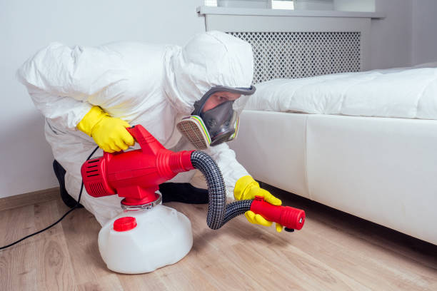 Best Emergency Pest Control  in Lawton, IA