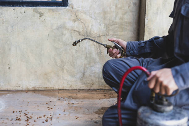 Best Ant Control Services  in Lawton, IA