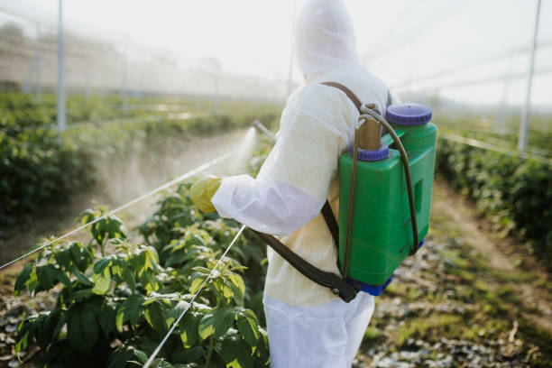 Best Bed Bug Extermination  in Lawton, IA